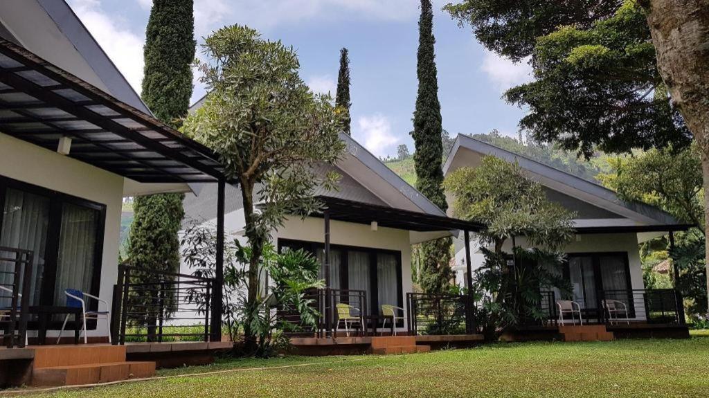 Resor New Mountain Springs & 3*