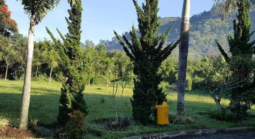 Resor New Mountain Springs &