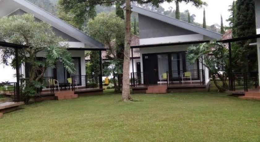 New Mountain Springs & Resor