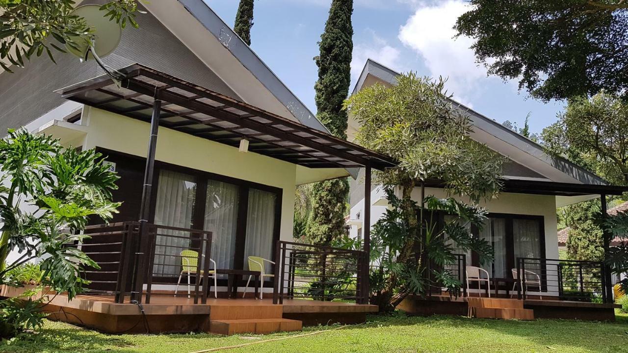 New Mountain Springs & Resor 3*