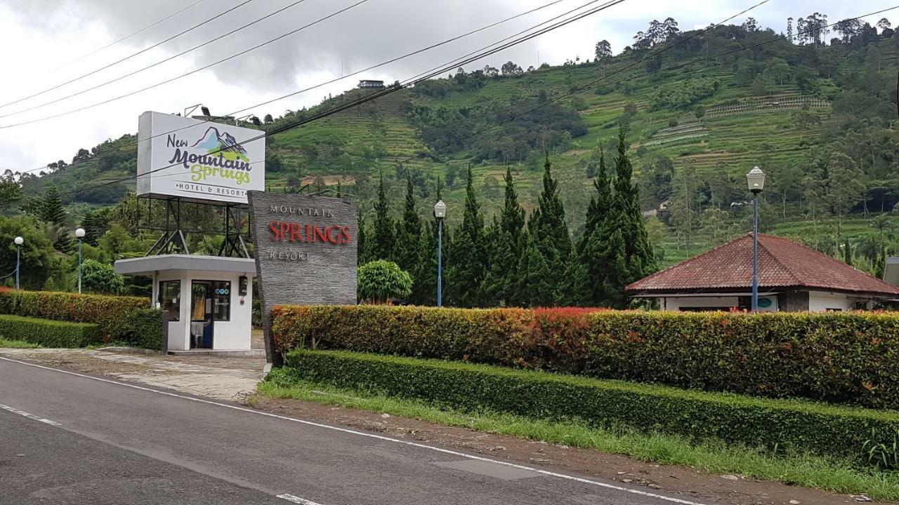New Mountain Springs & Resor 3*