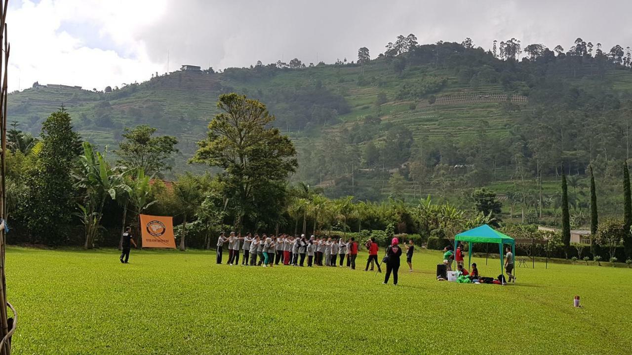 New Mountain Springs & Bandung